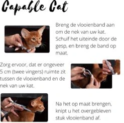 Capable Cat Vlooienband Kat | Vlooien | Luizen | Teken | Mijten | 8 Maanden Bescherming | Katten 12 Capable Cat Vlooienband Kat | Vlooien | Luizen | Teken | Mijten | 8 Maanden Bescherming | Katten -Huisdierbenodigdheden 1200x1186 27