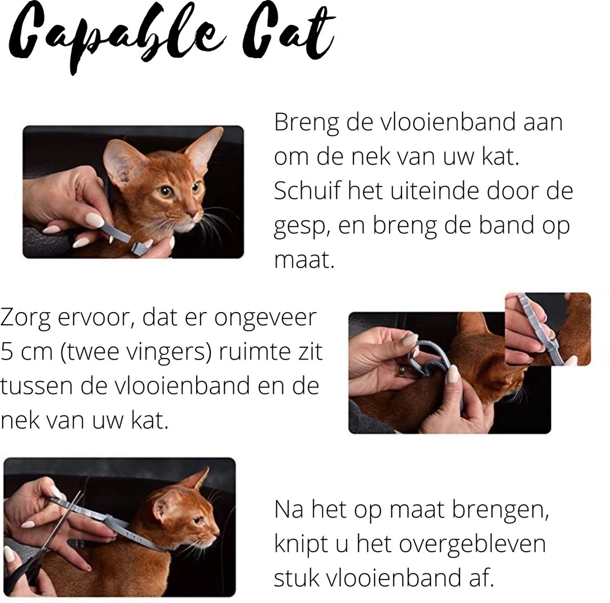 Capable Cat Vlooienband Kat | Vlooien | Luizen | Teken | Mijten | 8 Maanden Bescherming | Katten 6 Capable Cat Vlooienband Kat | Vlooien | Luizen | Teken | Mijten | 8 Maanden Bescherming | Katten - Afbeelding 6