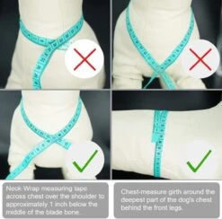 *** Katy`s Kattentuigje Zwart Maat M Met Looplijn - Kleine Hond - Kattenharnas - Honden Harnas - Kattenriem - Uitlaten - Van Heble® *** 9 *** Katy`s Kattentuigje Zwart Maat M Met Looplijn - Kleine Hond - Kattenharnas - Honden Harnas - Kattenriem - Uitlaten - Van Heble® *** -Huisdierbenodigdheden 1200x1186 36