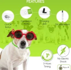 Groene LED Halsband Voor Honden XL / Groen Verlichte Halsband / Lichtgevende Halsband Hond / Led Halsband Hond - Oplaadbaar Via USB / USB Halsband LED 11 Groene LED Halsband Voor Honden XL / Groen Verlichte Halsband / Lichtgevende Halsband Hond / Led Halsband Hond - Oplaadbaar Via USB / USB Halsband LED -Huisdierbenodigdheden 1200x1187 30