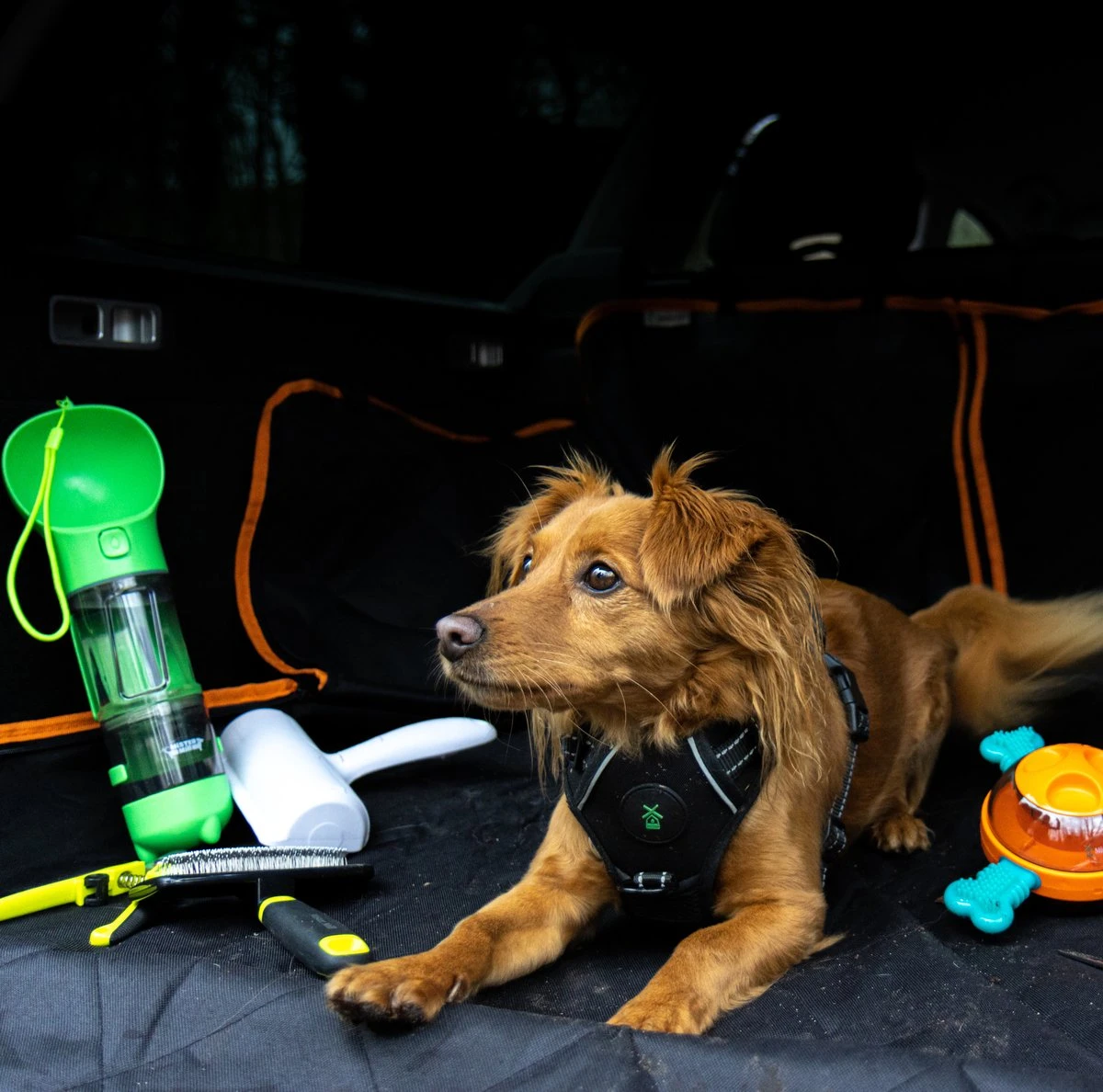 Mister Mill Drinkfles Hond - Honden Bidon - Waterfles - 500ML + 50ML Voeropslag + Poepzakjes Container 7 Mister Mill Drinkfles Hond - Honden Bidon - Waterfles - 500ML + 50ML Voeropslag + Poepzakjes Container - Afbeelding 7