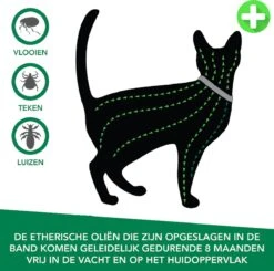 Teken- En Vlooienband Voor Katten PLUS - Natuurlijk Middel Tegen Vlooien En Teken - 100% Natuurlijk - 38,5 CM - Tot 8 Maand Werkzaam - Biologisch -Huisdierbenodigdheden 1200x1188 34