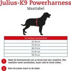 Julius K9 K9®Powertuig, M - Maat 0, Zwart -Huisdierbenodigdheden 1200x1189