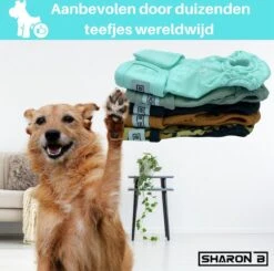 Loopsheidbroekje Hond - Bruin - Maat XL - Voor Grote Honden - Herbruikbaar - Hondenbroekje - Hondenluier - Loopsheid - Ongesteldheid - Voorkomt Ongewenste Zwangerschappen Bij Teefjes - Milieuvriendelijk - Verantwoord - Perfecte Pasvorm -Huisdierbenodigdheden 1200x1190 32