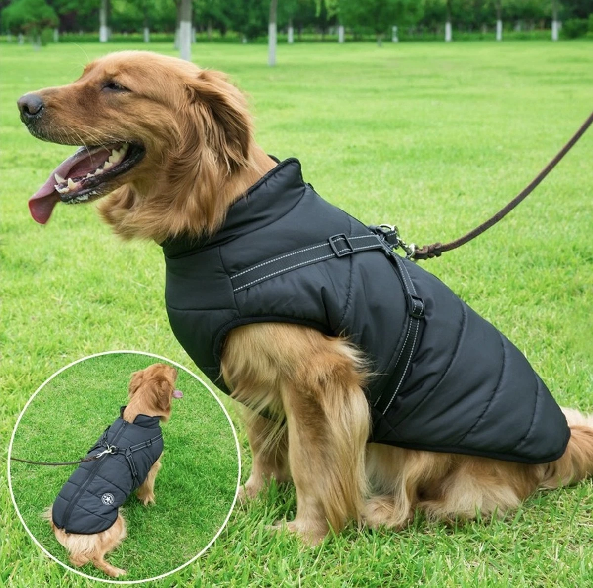 Nixnix - Honden Jas - Maat 3XL - Hondenjas - Kleine Hond - Grote Hond - Waterafstotend - Gevoerd Met Rits - Warme Hondenjas 4 Nixnix - Honden Jas - Maat 3XL - Hondenjas - Kleine Hond - Grote Hond - Waterafstotend - Gevoerd Met Rits - Warme Hondenjas - Afbeelding 4