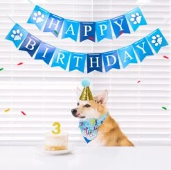 Nobleza B1T - Honden Verjaardag Bandana Set - Cadeau Hond 11 Nobleza B1T - Honden Verjaardag Bandana Set - Cadeau Hond -Huisdierbenodigdheden 1200x1190 36