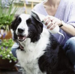 Merkloos HondenFöhn En Borstel - RVS Borstel - Huisdieren - 2 In 1 Hondenföhn -Huisdierbenodigdheden 1200x1190 5