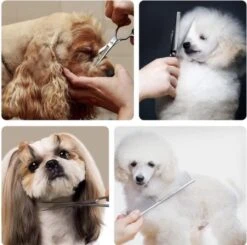 VoordeelShop 7-Delige Huisdier Knipset Met Etui - Trimmen Hond - Honden Schaar - Effileerschaar Hond - Huisdier Trimmer - Huisdier Knippen - Knipschaar Haar - Haar Schaar - Kapper - Kapperset - Scharenset 29 VoordeelShop 7-Delige Huisdier Knipset Met Etui - Trimmen Hond - Honden Schaar - Effileerschaar Hond - Huisdier Trimmer - Huisdier Knippen - Knipschaar Haar - Haar Schaar - Kapper - Kapperset - Scharenset -Huisdierbenodigdheden 1200x1190 9