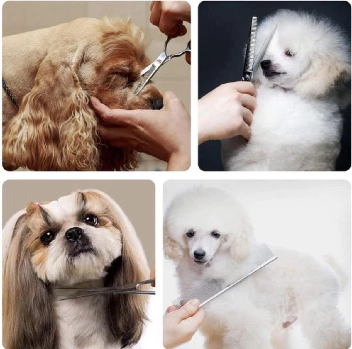 VoordeelShop 7-Delige Huisdier Knipset Met Etui - Trimmen Hond - Honden Schaar - Effileerschaar Hond - Huisdier Trimmer - Huisdier Knippen - Knipschaar Haar - Haar Schaar - Kapper - Kapperset - Scharenset 14 VoordeelShop 7-Delige Huisdier Knipset Met Etui - Trimmen Hond - Honden Schaar - Effileerschaar Hond - Huisdier Trimmer - Huisdier Knippen - Knipschaar Haar - Haar Schaar - Kapper - Kapperset - Scharenset - Afbeelding 14