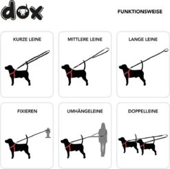 DDOXX Hondenriem Air Mesh, 3-voudig Verstelbaar, 2m | Voor Kleine & Grote Honden | Dubbele Riem Twee Honden Kat Puppy | Tug Leash Large | Lead Leash Small | Walking Leash Puppy Leash | Zwart, M 10 DDOXX Hondenriem Air Mesh, 3-voudig Verstelbaar, 2m | Voor Kleine & Grote Honden | Dubbele Riem Twee Honden Kat Puppy | Tug Leash Large | Lead Leash Small | Walking Leash Puppy Leash | Zwart, M -Huisdierbenodigdheden 1200x1192