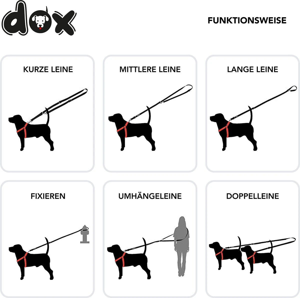 DDOXX Hondenriem Air Mesh, 3-voudig Verstelbaar, 2m | Voor Kleine & Grote Honden | Dubbele Riem Twee Honden Kat Puppy | Tug Leash Large | Lead Leash Small | Walking Leash Puppy Leash | Zwart, M 5 DDOXX Hondenriem Air Mesh, 3-voudig Verstelbaar, 2m | Voor Kleine & Grote Honden | Dubbele Riem Twee Honden Kat Puppy | Tug Leash Large | Lead Leash Small | Walking Leash Puppy Leash | Zwart, M - Afbeelding 5