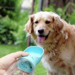 Waterfles Hond - XL - Honden - Waterfles - Blauw - Bidon - Hond Water Fles - Drinkfles - Drinkfles Hond -Huisdierbenodigdheden 1200x1193 13