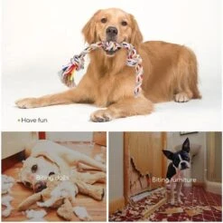 Nobleza Hondentouw - Speeltouw Hond - Flostouw Hond - Trektouw Hond - Lang - Geknoopt -Huisdierbenodigdheden 1200x1193 21