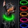 JN Groene LED Halsband Voor Honden Medium - Groen Verlichte Halsband - 50 Cm- Lichtgevende Halsband Hond - Oplaadbaar Via USB - Adjustable - Verstelbaar - Verstelbare Halsband USB Oplaadbaar