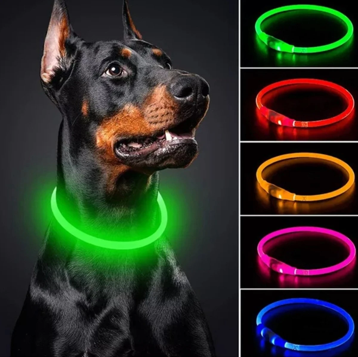 JN Groene LED Halsband Voor Honden Medium - Groen Verlichte Halsband - 50 Cm- Lichtgevende Halsband Hond - Oplaadbaar Via USB - Adjustable - Verstelbaar - Verstelbare Halsband USB Oplaadbaar 1 JN Groene LED Halsband Voor Honden Medium - Groen Verlichte Halsband - 50 Cm- Lichtgevende Halsband Hond - Oplaadbaar Via USB - Adjustable - Verstelbaar - Verstelbare Halsband USB Oplaadbaar