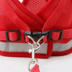 Merkloos Kittentuigje - Verstelbaar Kattentuigje Reflecterend - Kattenharnas - Kattentuig Met Looplijn - Rood - Maat XS -Huisdierbenodigdheden 1200x1194 33
