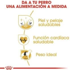 Royal Canin Golden Retriever 12 KG -Huisdierbenodigdheden 1200x1195 21