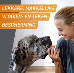 Frontpro Hond L 10-25 Kg 3 Tabletten -Huisdierbenodigdheden 1200x1195 24