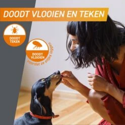 Frontpro Hond L 10-25 Kg 3 Tabletten -Huisdierbenodigdheden 1200x1195 25