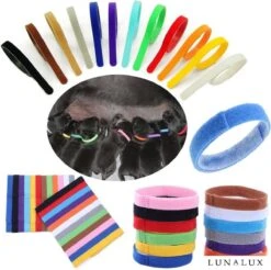 Merkloos Puppy Halsbandjes - Puppy ID - Puppy Collars - 12 Stuks - Bandjes Voor Puppy's - Onderscheid Bandjes Hond -