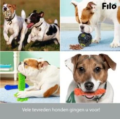 Filo Honden Speelgoed Set 14 Stuks - Hondenspeeltjes Knuffel - Hondenbal - Flostouw - Bot - Frisbee - Hondentouw - Hondenspeelgoed Intelligentie - Kauwspeelgoed Hond En Puppy - Bijtspeelgoed Hondenknuffel - Hondenspeeltje Met Piep -Huisdierbenodigdheden 1200x1197 41