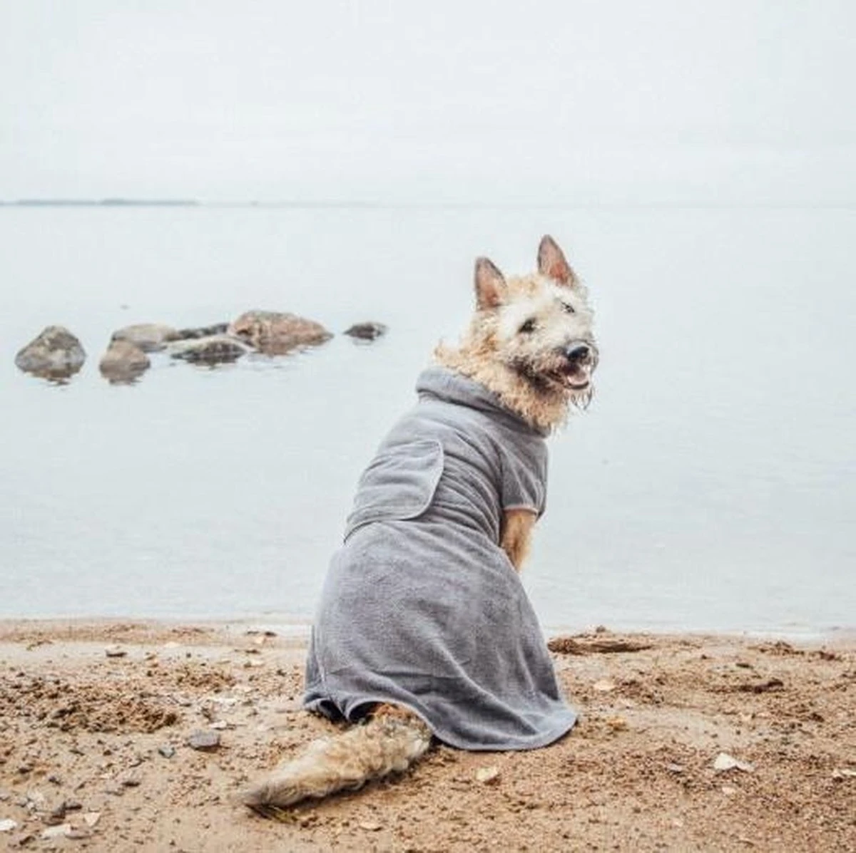 Rukka Pets Micro Light Badjas - Lichtgewicht - Microvezel - Sterk Absorberend - Maat XL 7 Rukka Pets Micro Light Badjas - Lichtgewicht - Microvezel - Sterk Absorberend - Maat XL - Afbeelding 7