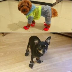 SBVR - Hondenschoenen Met Gripzolen Elastische Sluiting En Waterbestendig - 4 St. - Zwart - 6 X 5 Cm -Huisdierbenodigdheden 1200x1197 48