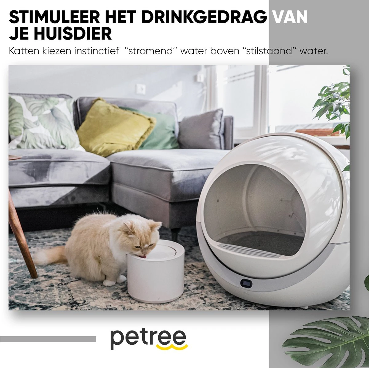 Petree Drinkfontein - Kat - Hond - Viervoudige Filtersysteem - UV-lamp - Drinkbakken - Dieren - Fluisterstil (1.8L) 2 Petree Drinkfontein - Kat - Hond - Viervoudige Filtersysteem - UV-lamp - Drinkbakken - Dieren - Fluisterstil (1.8L) - Afbeelding 2