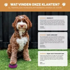 Vulpes Pets® PRO Praatknop Voor Honden - Dogbuttons - Laat Uw Huisdier Spreken - Hondenspeelgoed - Honden Training - Incl. E-Book & Trainingsstickers -Huisdierbenodigdheden 1200x1198 50