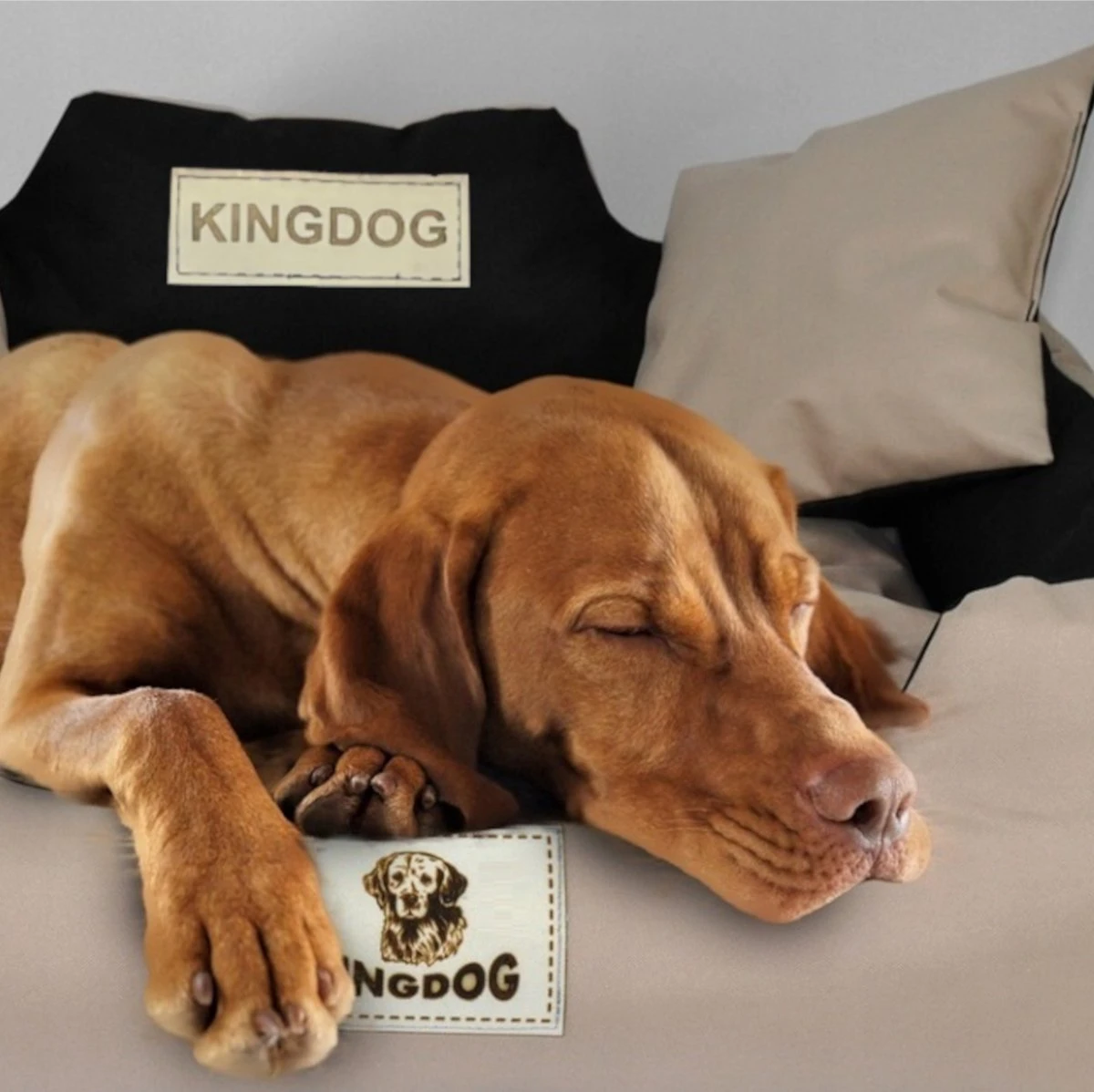 Kingdog - Groot Honden- En Kattenbed | Dierenmand 100 X 75 | Groen - Maat L 2 Kingdog - Groot Honden- En Kattenbed | Dierenmand 100 X 75 | Groen - Maat L - Afbeelding 2
