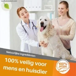 Natuurlijke Vlooienband Voor Honden - Roze - Teken En Vlooien - Zonder Schadelijke Pesticiden - Veilig En Verantwoord - Hondenbandje - Geur Halsband -Huisdierbenodigdheden 1200x1198 62