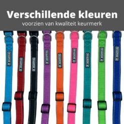 Halsband Hond - Reflecterend - Zwart - Maat M - Oersterk - Waterdicht - Hondenhalsband - Geschikt Voor Iedere Hondenriem - Voor Middelgrote Honden -Huisdierbenodigdheden 1200x1198 65