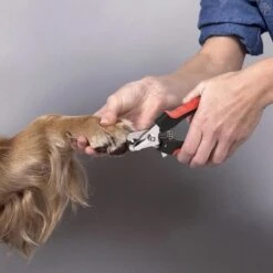 Merkloos Nagelknipper Hond - Huisdier - Dier - Kat - Nageltang - Nagelschaar - Nagels Knippen Hond - Dierennagel Knipper