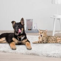 Relaxdays Voer-en Drinkbak 2 In 1- Honden Katten - Voederdispenser - Eetbak - Waterbak Donkergrijs -Huisdierbenodigdheden 1200x1199 19