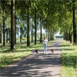 Rebel Petz - Dubbele Verstelbare Hondenriem Voor Twee Honden - Met Draaibare Sluiting En Zacht Handvat - Small En Large - Large (140 Cm Lang, Ø 12 Mm) -Huisdierbenodigdheden 1200x1199