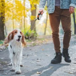 Hondenriem Tape - 5 Meter - Medium - Voor Honden <25 Kg - Zwart-Wit -Huisdierbenodigdheden 1200x1200 100