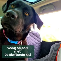 Premium Hondendeken Auto Achterbank Kijkvenster - Incl 2 Hondenriemen En E-Book - Autodeken Hond - Autobench Voor Hond - Zwart Oranje -Huisdierbenodigdheden 1200x1200 1040