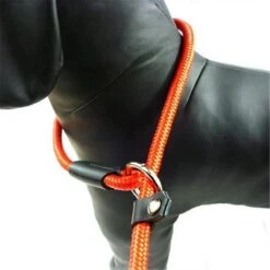 LOUZIR Cesar Millan Sliplijn Met Stop - Hondenriem - Rood - 130 Cm -Huisdierbenodigdheden 1200x1200 105