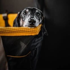 Kurgo - Skybox Booster Seat - Black/Orange - Hondenstoeltje - Hoogzitter Om Naar Buiten Te Kijken -Huisdierbenodigdheden 1200x1200 1072