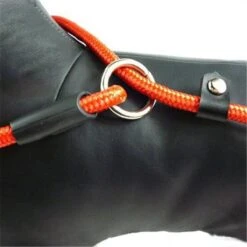 LOUZIR Cesar Millan Sliplijn Met Stop - Hondenriem - Rood - 130 Cm -Huisdierbenodigdheden 1200x1200 108