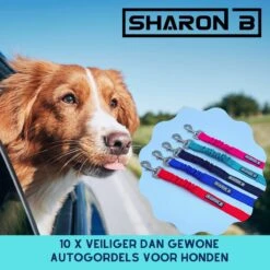 Autogordel Voor Honden - Rood - Voor Optimale Veiligheid Onderweg Voor Hond En Baasje - Schok Absorberend - Hondengordel - Voor Alle Honden - Bestand Tegen Grote Krachten - Geschikt Voor Bijna Alle Auto's -Huisdierbenodigdheden 1200x1200 1082