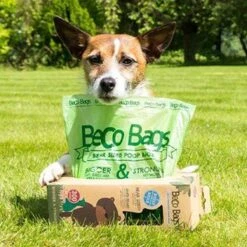 Beco Poop Bags - Hondenpoepzakjes Op Rol 300 Stuks - Groot En Sterk - Beco Pets - 300 Stuks -Huisdierbenodigdheden 1200x1200 1097