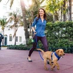 700 Zwarte Eco Friendly Hondenpoepzakken Met GRATIS Dispenser - 20 Rollen X 35 Stuks - Poepzakjes Hond -Huisdierbenodigdheden 1200x1200 1114