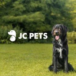 JC Pets Premium Pluizenborstel - Huisdierhaar Verwijderaar – Pluizenverwijderaar – Honden En Kattenhaar Verwijderaar - Ontpluizer - Pluizenroller -Huisdierbenodigdheden 1200x1200 117