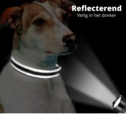 Halsband Hond - Reflecterend - Zwart - Maat M - Oersterk - Waterdicht - Hondenhalsband - Met Veiligheidssluiting - Geschikt Voor Iedere Hondenriem - Voor Middelgrote Honden -Huisdierbenodigdheden 1200x1200 12