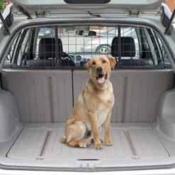 Zenzee - Hondenrek Auto - Hondenrek - Autorek Hond - Bagagerek - Verstelbaar- B91-145cm/H30 Cm- Zwart -Huisdierbenodigdheden 1200x1200 1209