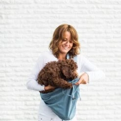 4LazyLegs Draagzak - Donker Blauw - Voor Honden Tot 7kg -Huisdierbenodigdheden 1200x1200 1257