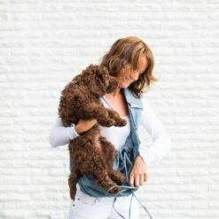 4LazyLegs Draagzak - Donker Blauw - Voor Honden Tot 7kg -Huisdierbenodigdheden 1200x1200 1258