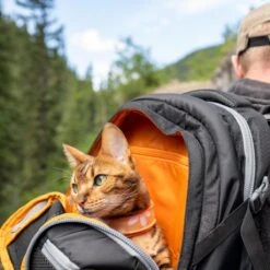 Hondenrugzak Voor Kleine Honden Met Diverse Opbergvakken - Voor Honden Tot 11 Kg - Kurgo G-train K9 - 33x53x25cm - Black -Huisdierbenodigdheden 1200x1200 1272