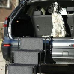 Bella & Balu Hondentrap - De Gewrichtsvriendelijke Helling Voor Uw Huisdier I Opvouwbare Instaphulp Met Vier Treden Voor Comfortabel Op- En Afstappen Voor Binnen En Buiten -Huisdierbenodigdheden 1200x1200 1311